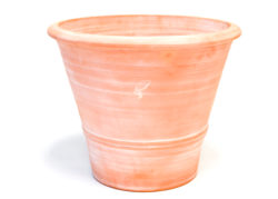 Terracotta Citrus Pot